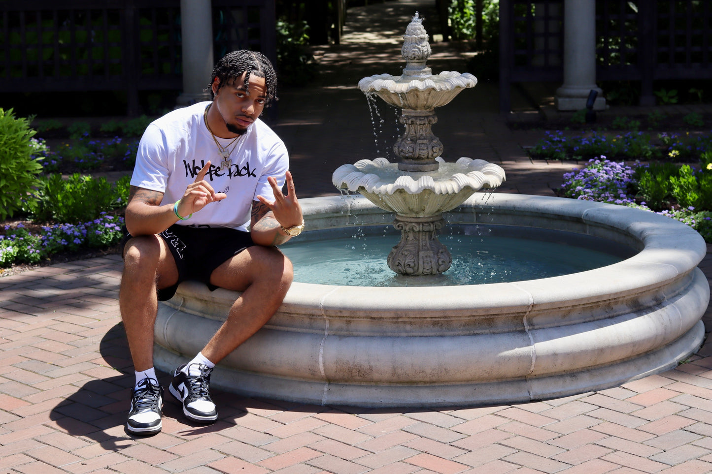 "Wolfe Pack Enterprises" Graphic T-Shirt